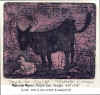 Myers Purple Cow 4.8-5.8.jpg (52725 bytes)